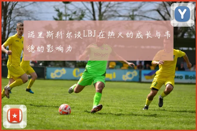诺里斯科尔谈LBJ在热火的成长与韦德的影响力