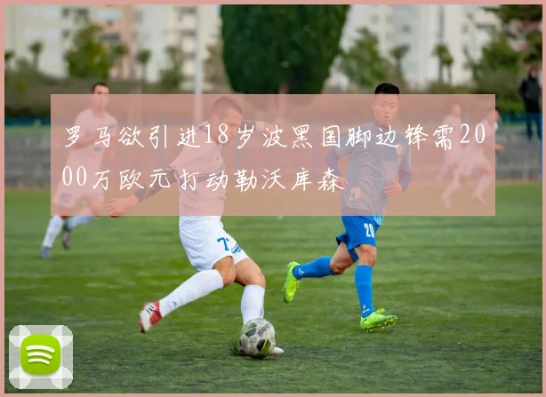 罗马欲引进18岁波黑国脚边锋需2000万欧元打动勒沃库森
